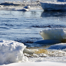 Le 1603 Calendrier 16 mois 2025-2026 - mural