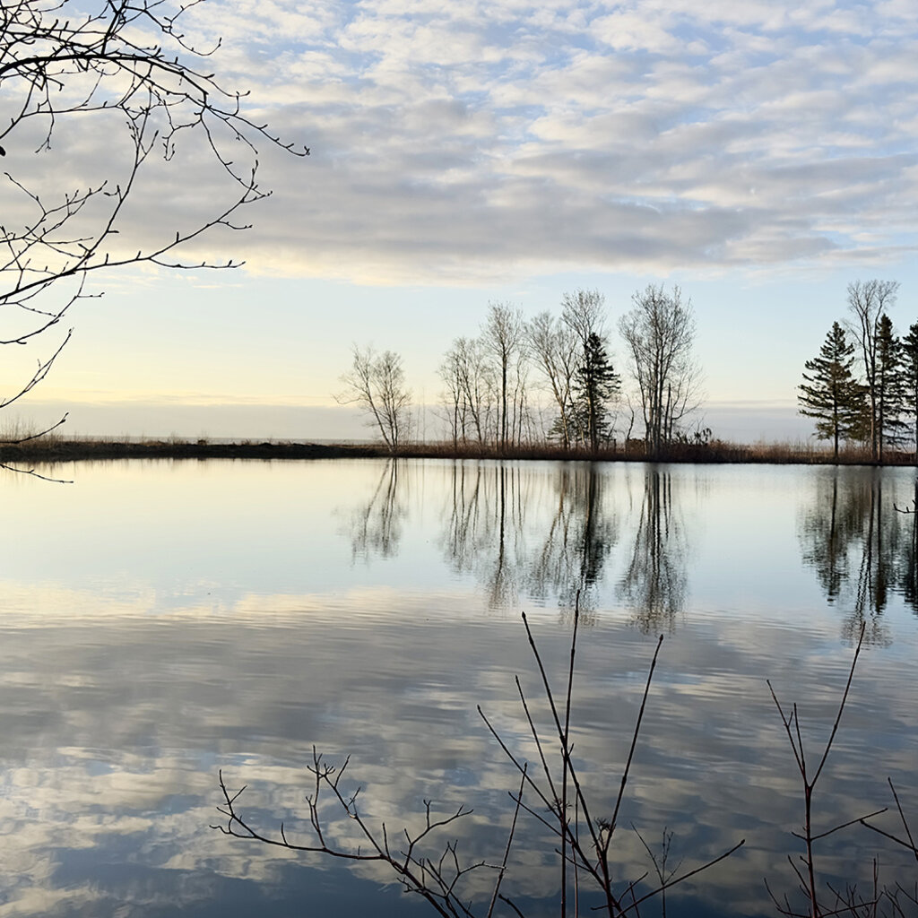 Le 1603 Calendrier 16 mois 2025-2026 - mural