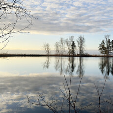 Le 1603 Calendrier 16 mois 2025-2026 - mural