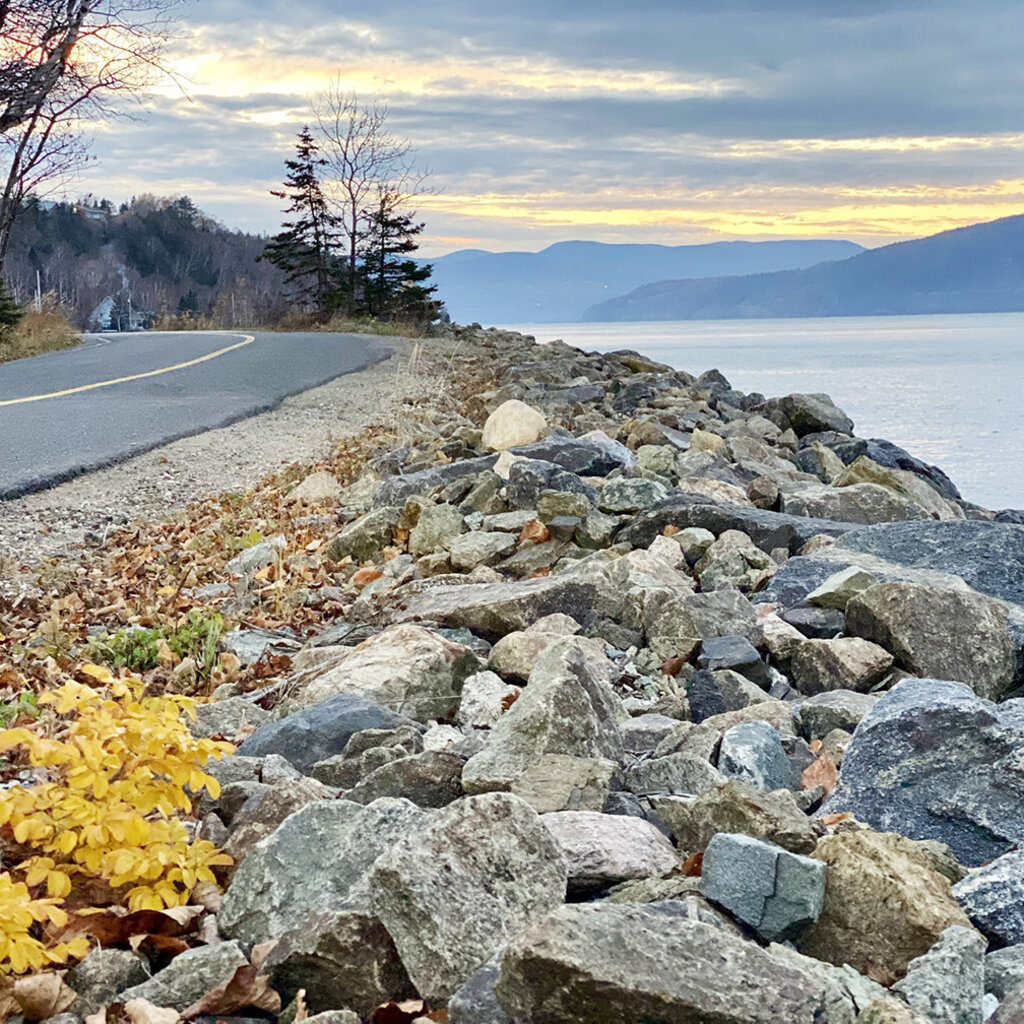 Le 1603 Calendrier 16 mois 2025-2026 - mural