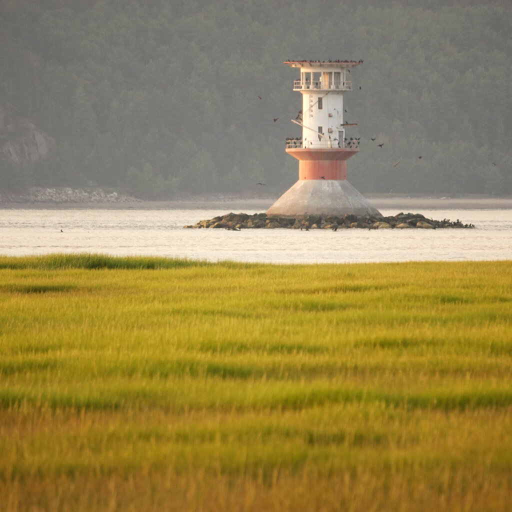 Le 1603 Calendrier 16 mois 2025-2026 - mural