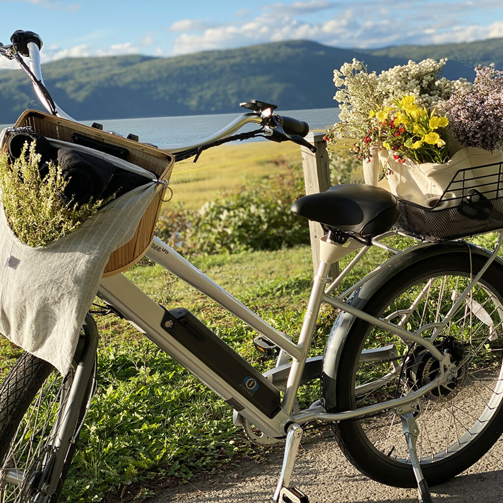 Le 1603 Calendrier 16 mois 2025-2026 - mural