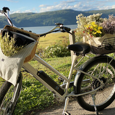 Le 1603 Calendrier 16 mois 2025-2026 - mural