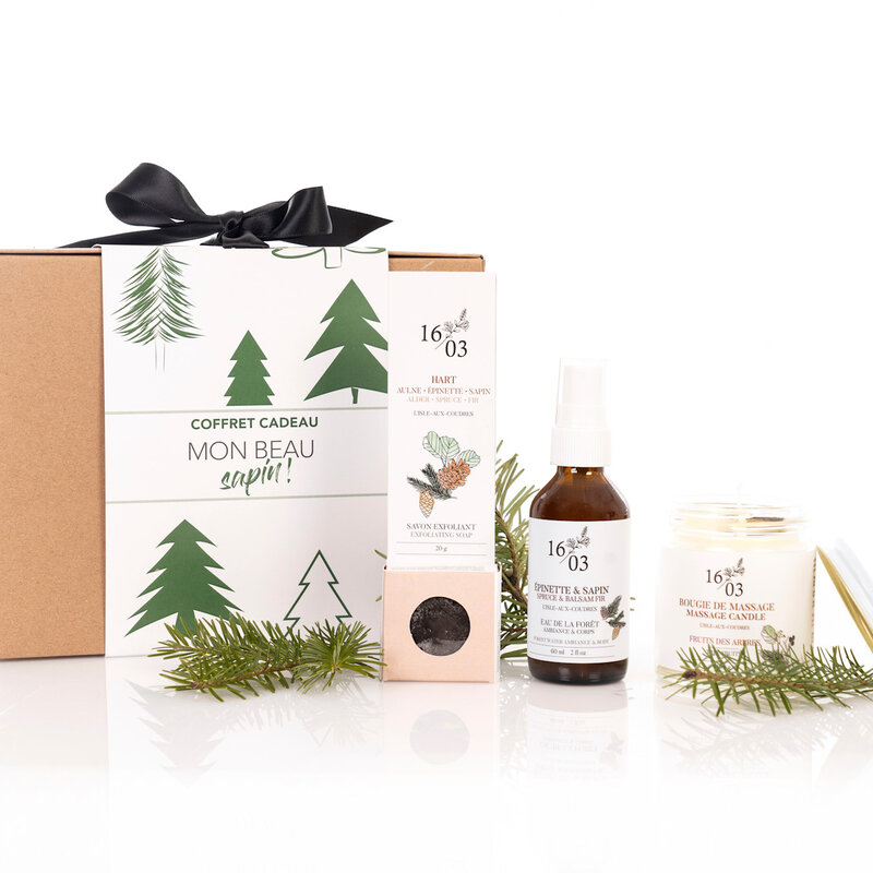Le 1603 Coffret Mon beau Sapin!