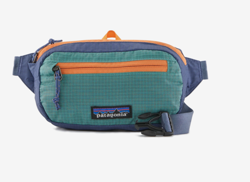 Patagonia Lightweight Travel Mini Hip Pack