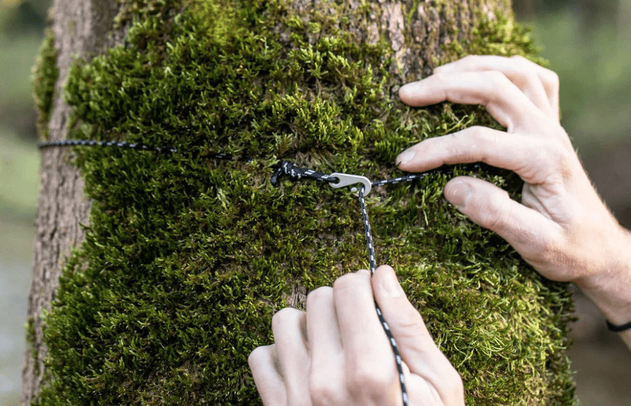 Eagles Nest Outfitters Guardian Bug Net