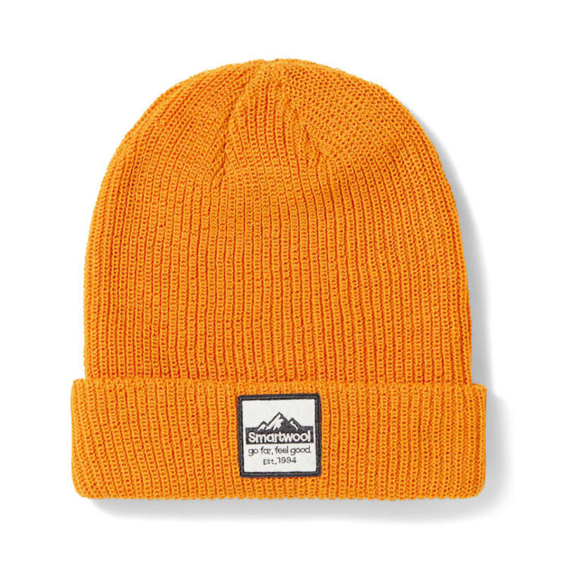 Smartwool Smartwool Smartwool Patch Beanie ARCTIC GREEN 1FM