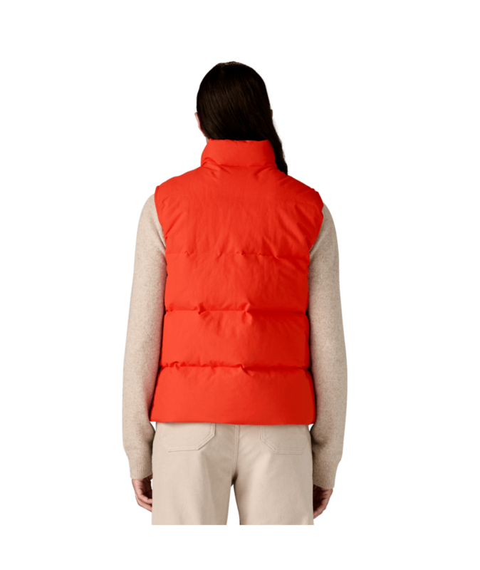 Patagonia W's Downdrift Vest