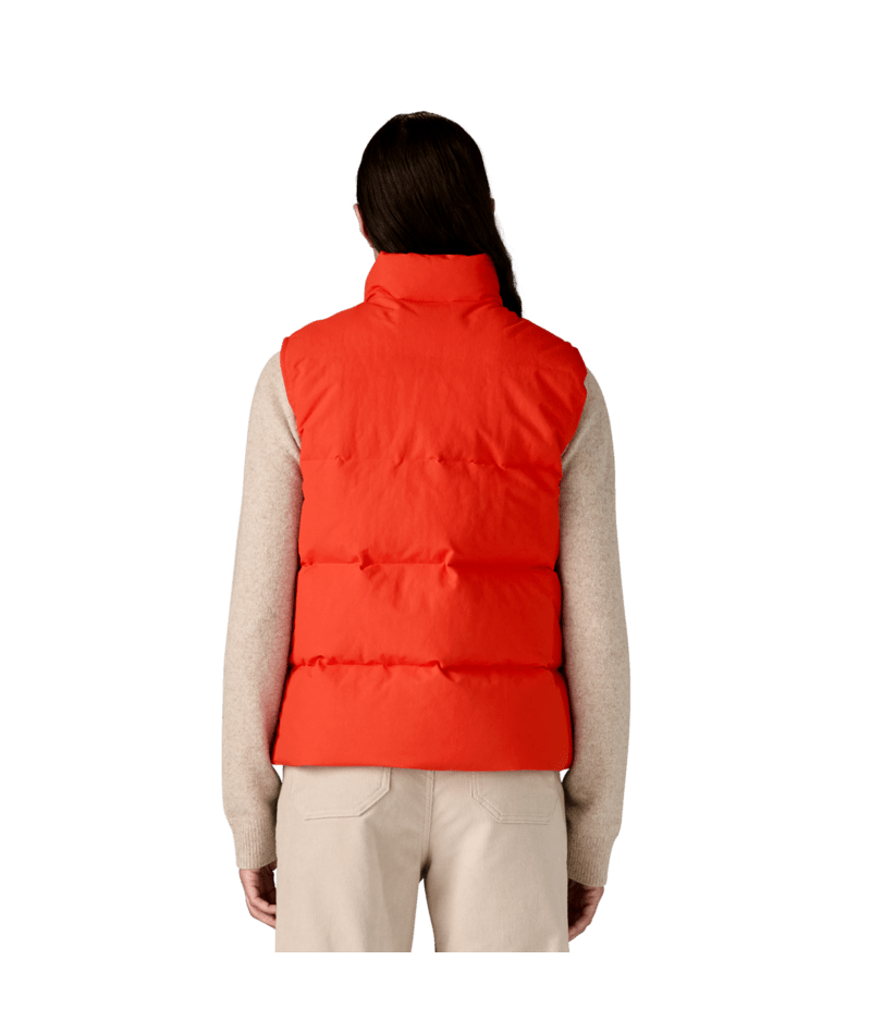 Patagonia W's Downdrift Vest