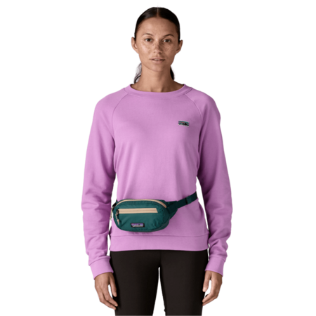 Patagonia Patagonia Terravia Mini Hip Pack Cascade Green