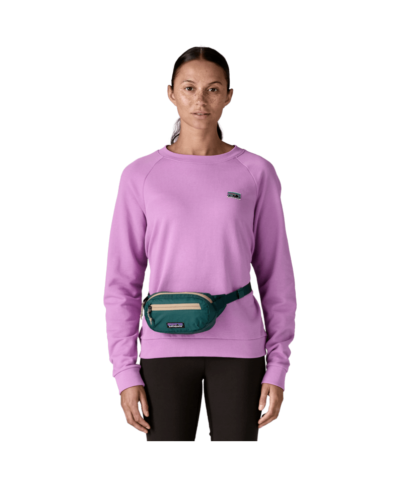 Patagonia Patagonia Terravia Mini Hip Pack Cascade Green