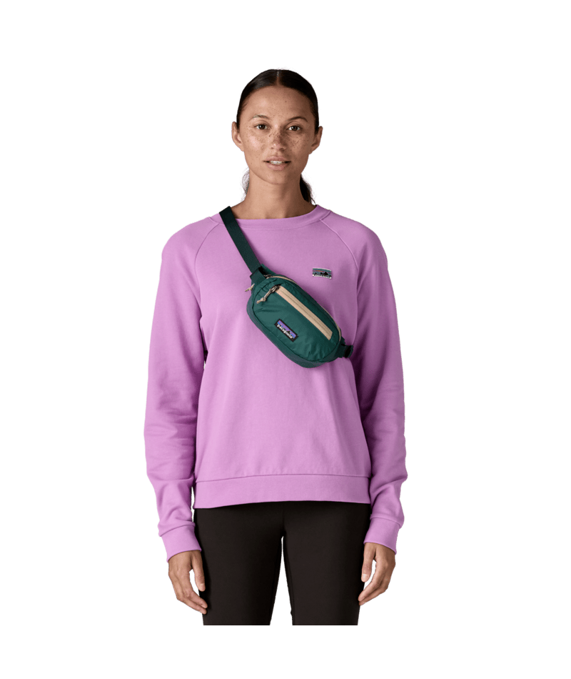 Patagonia Patagonia Terravia Mini Hip Pack Cascade Green