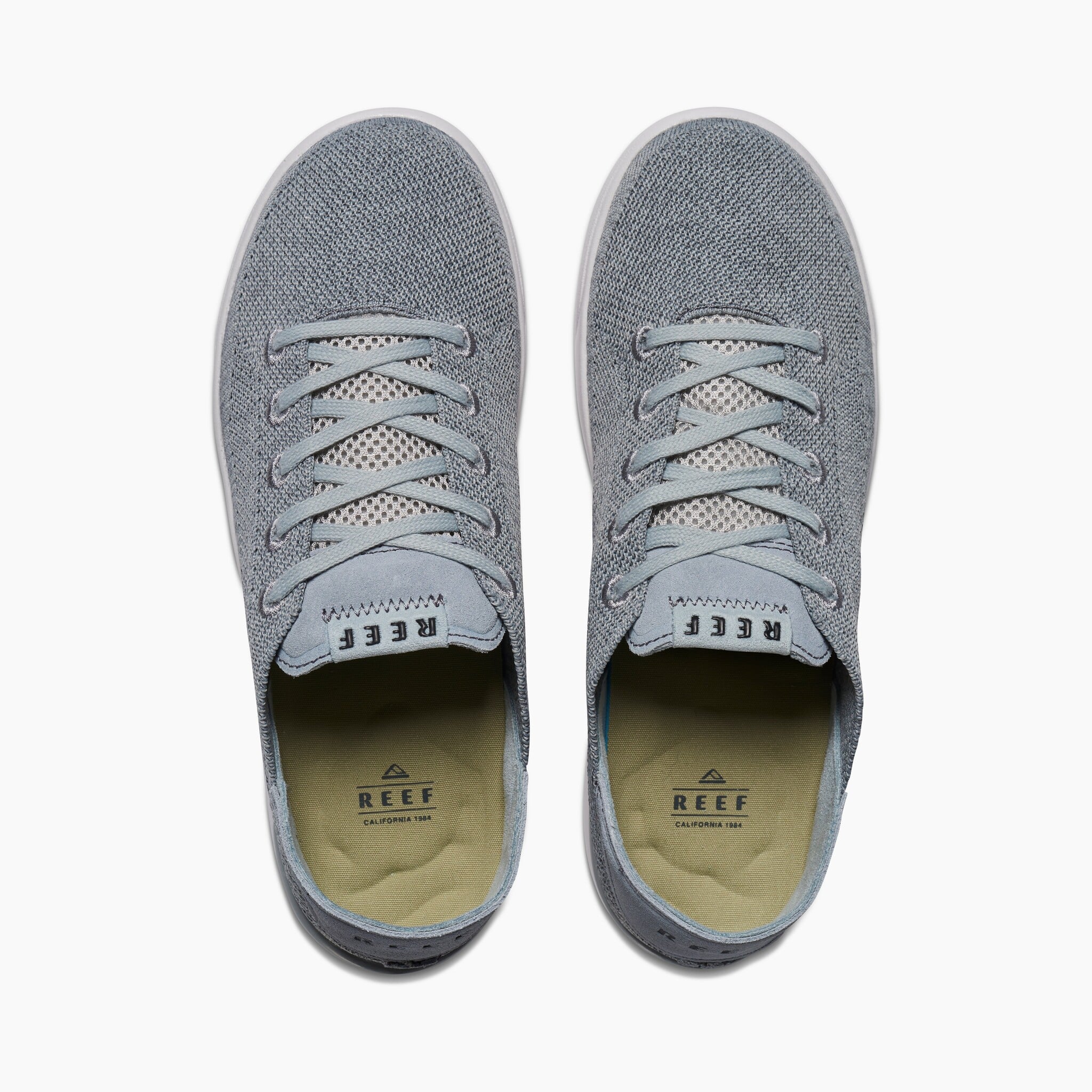Reef Reef Swellsole Neptune