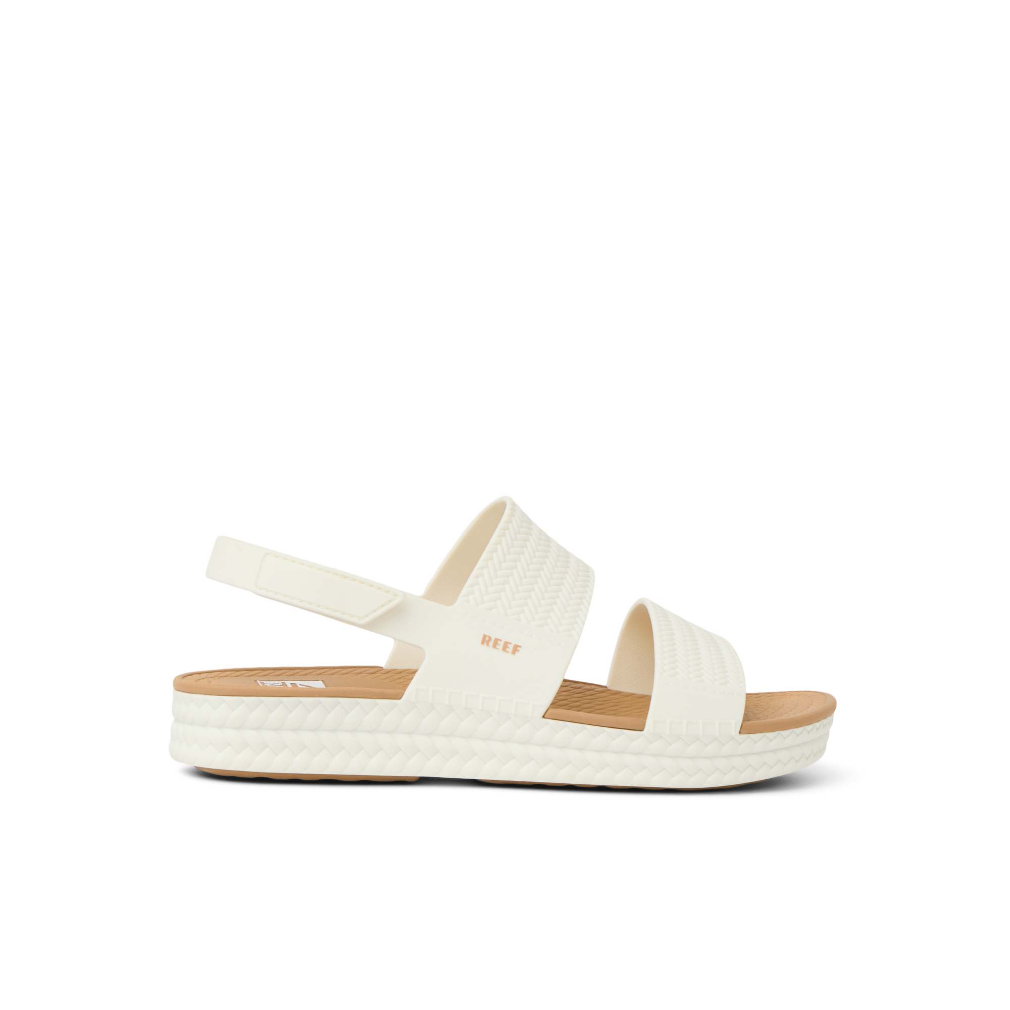 Reef Reef Reef Water Vista