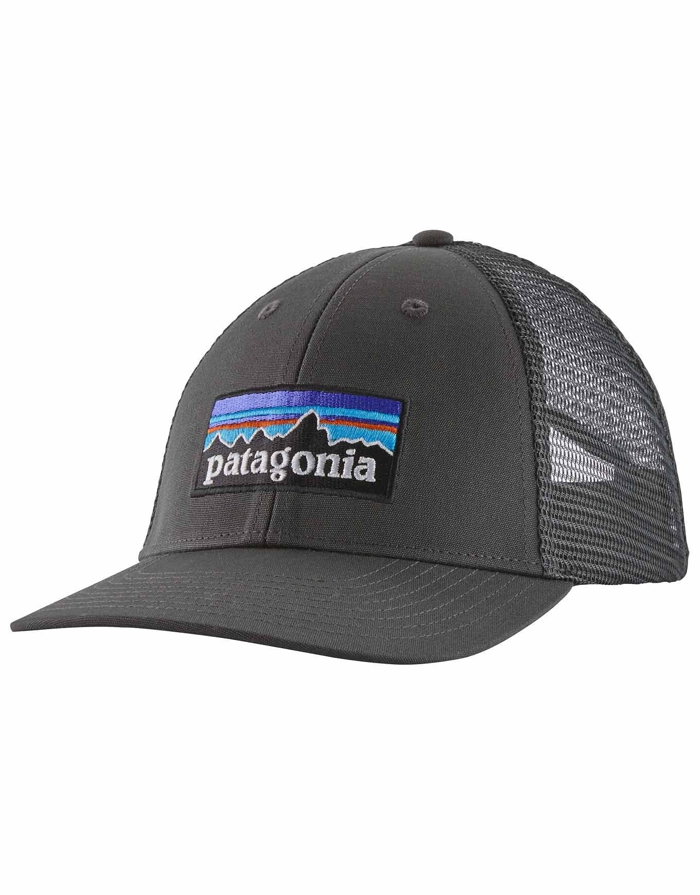 Patagonia Patagonia P-6 Logo LoPro Trucker Hat