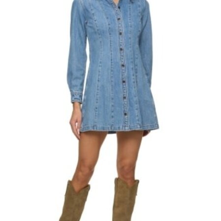 Flag & Anthem W's Bloomfield Seamed Denim Dress