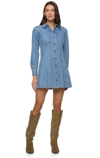 Flag & Anthem F & A W's Bloomfield Seamed Denim Dress