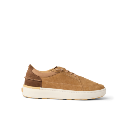 Reef M's Shoreline Verano