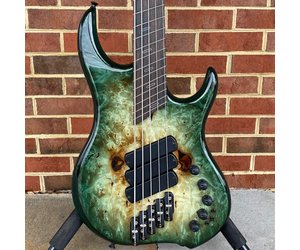 Dingwall Custom Z3, 5-String, 3x Pickups, Dual Density Swamp