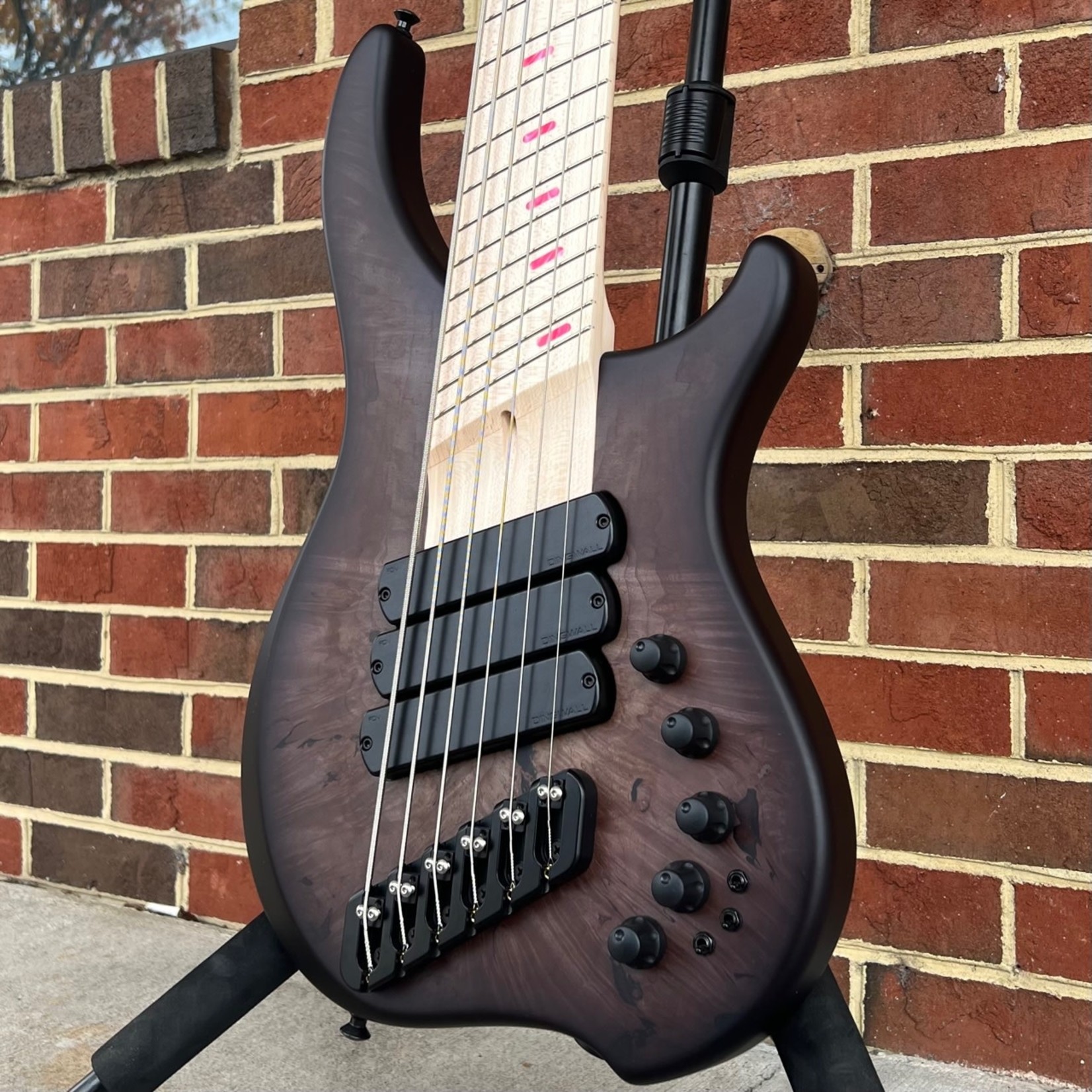 Dingwall Dingwall ABZ Custom 6-String, 3x Pickups, Maple Burl X-Top, Trans Black Burst, Maple Fretboard, Pink Speedo Bar Inlays, Luminlay Side Dots, Darkglass Tone Capsule w/ Toggles, Dingwall Gig Bag