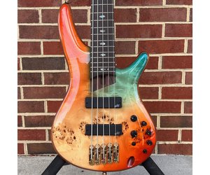 BIGBIRD 4.5より5機 ibanez-ibanez-premium-