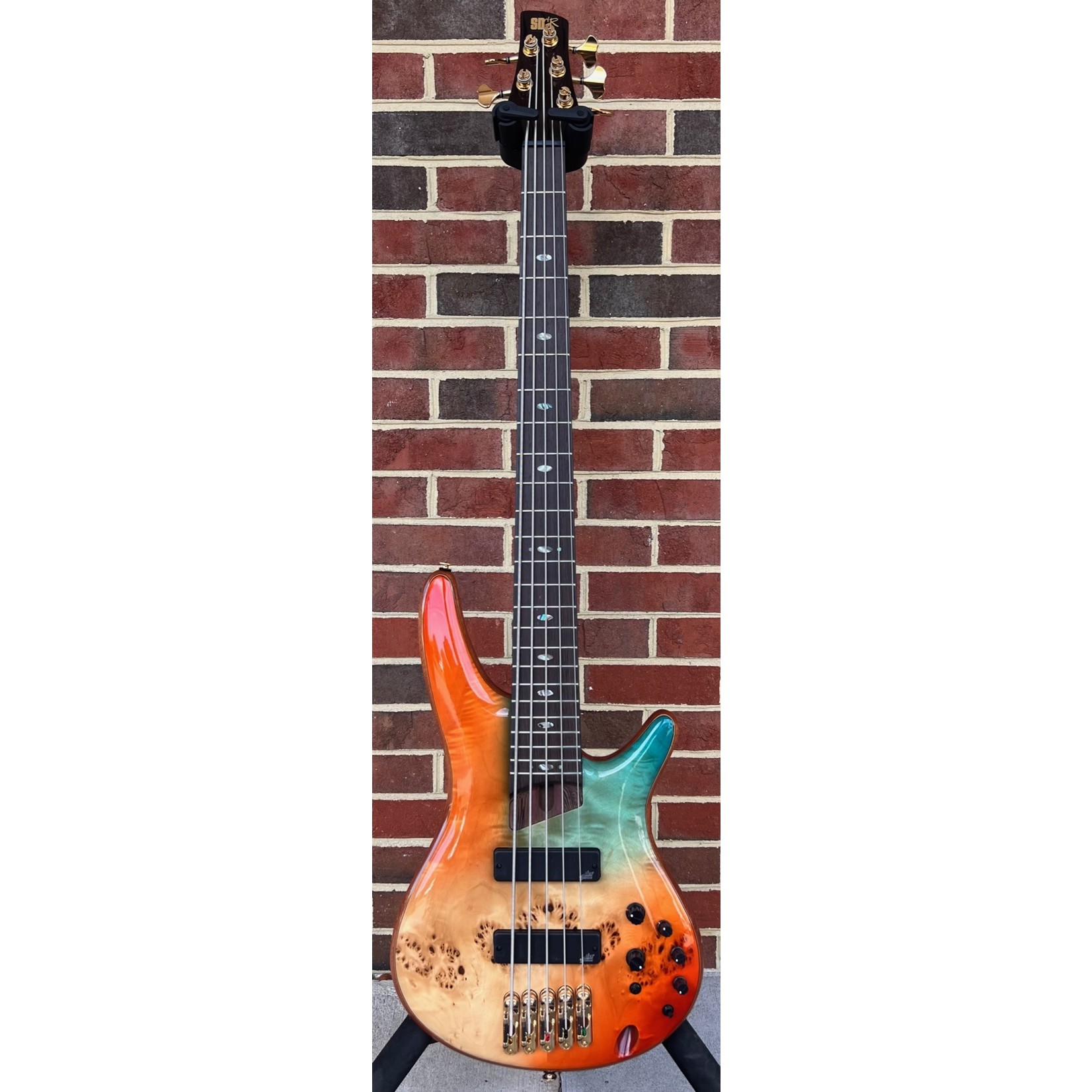 ibanez 5 string bass guitar