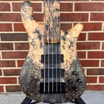 Spector Spector USA NS-5XL, Buckeye Burl Top, Swamp Ash Body, Wide String Spacing, Pale Moon Ebony Fretboard, No Inlays, Matching Buckeye Burl Headstock, Pale Moon Ebony Logo, EMG 40DCX Pickups, Darkglass Tone Capsule 18v, Matte Finish, Hardshell Case