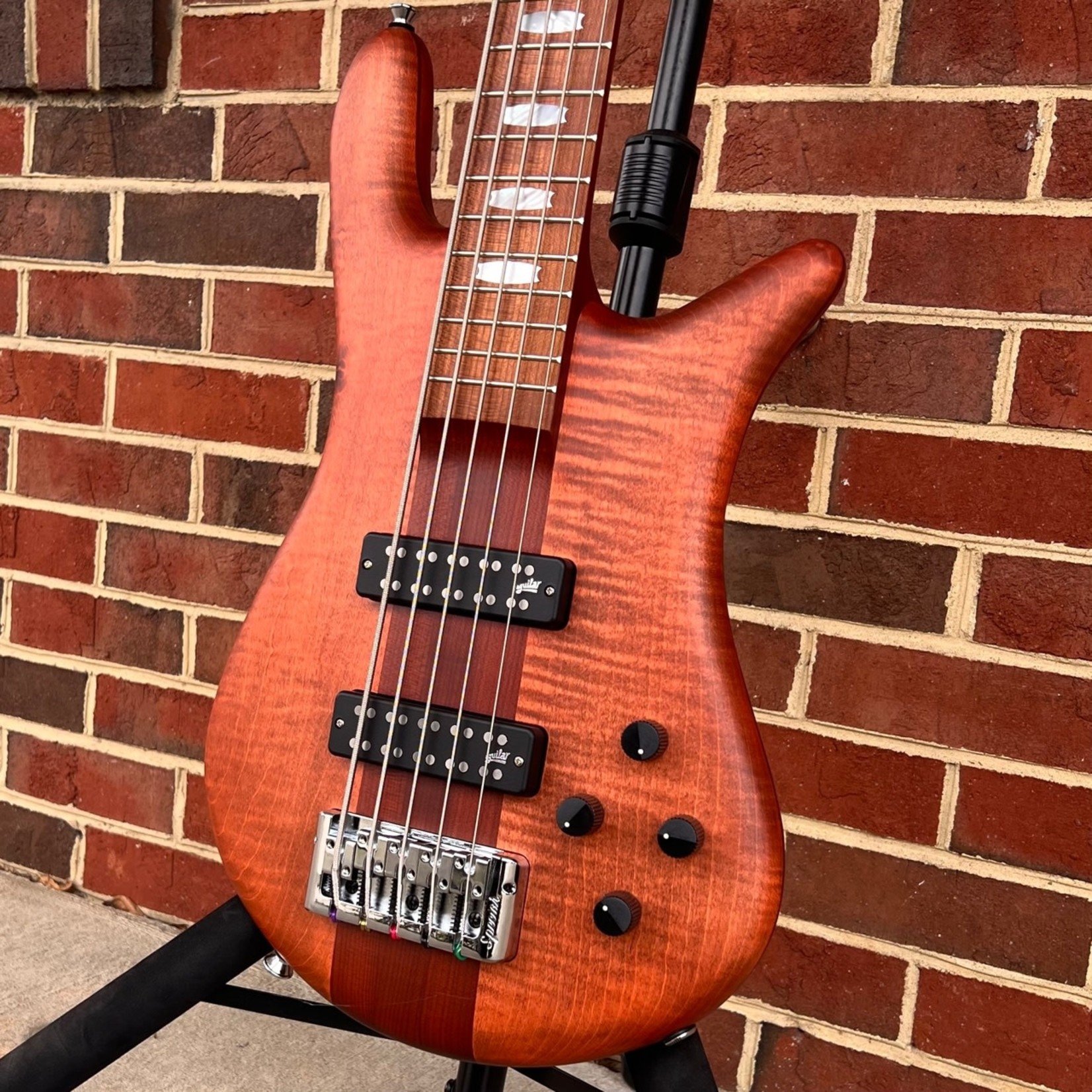 Spector Euro 5 RST, Sienna Stain Matte, 5-String, Roasted Maple