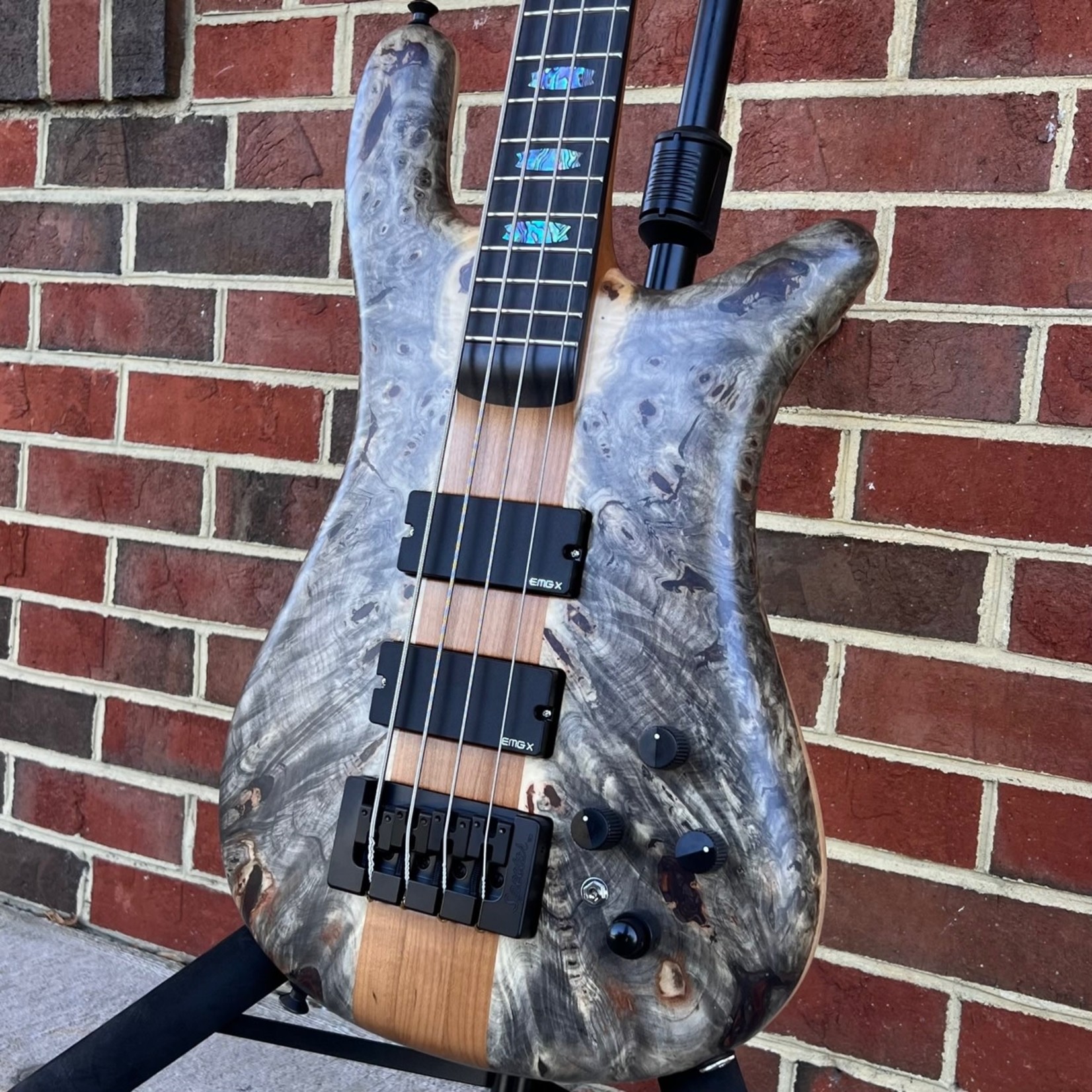 Spector USA NS-2, The Music Loft 30th Anniversary, Buckeye Burl 