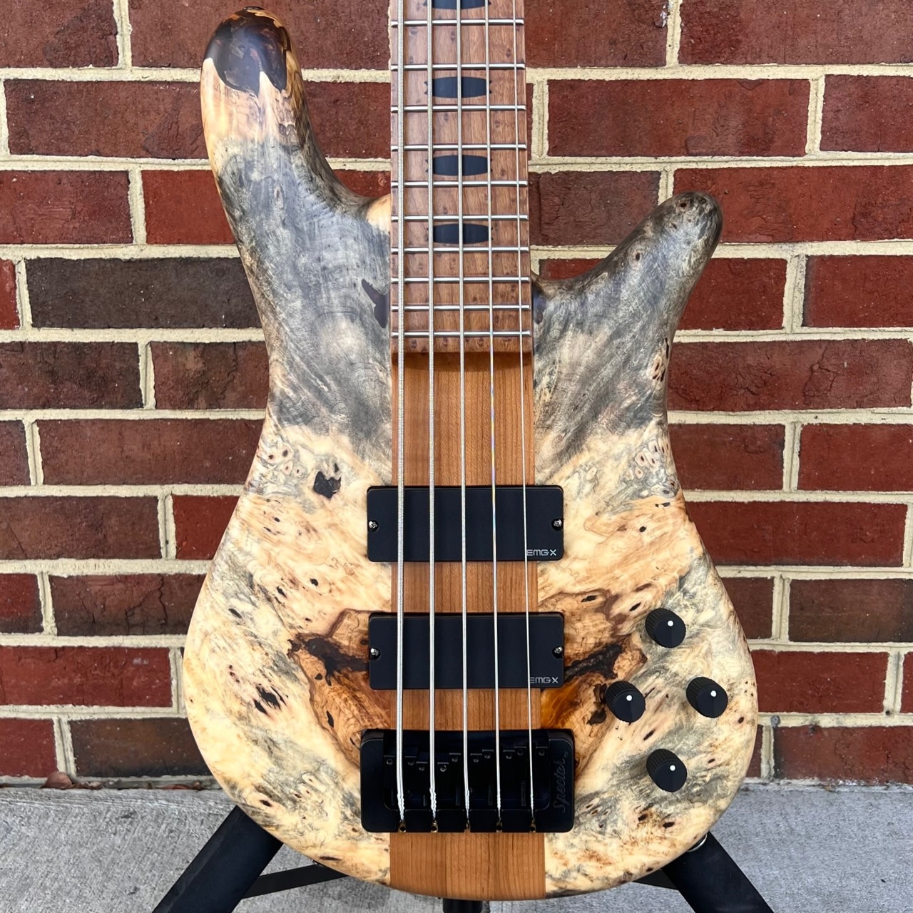 spector-spector-usa-ns-5xl-the