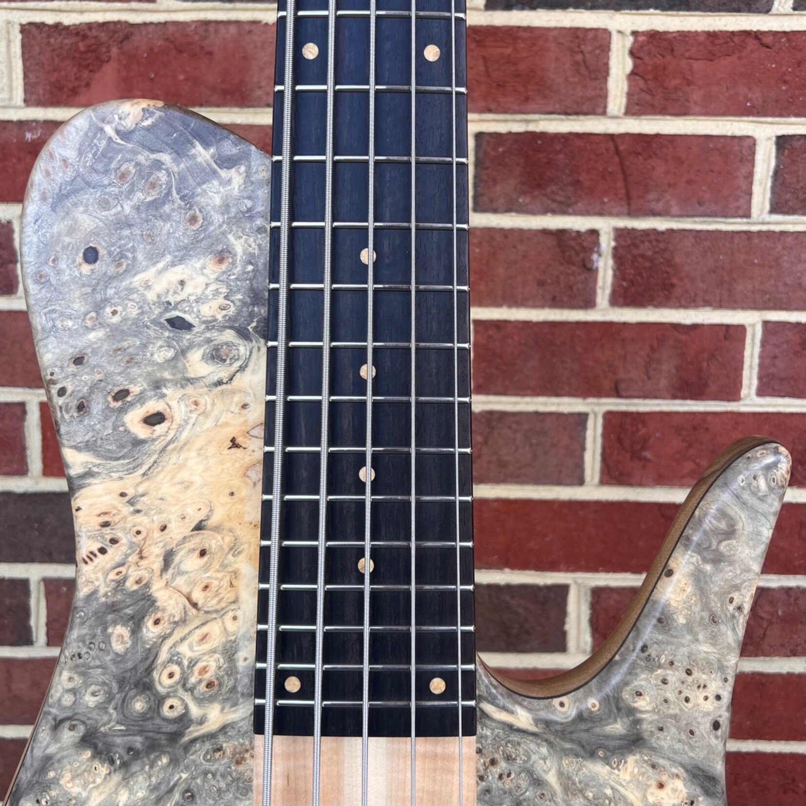 Fodera Fodera Imperial Elite 5, Buckeye Burl Top, Black Limba Body, Swamp Ash Tone Block, Ebony Fretboard, Gotoh Tuners, Fodera/Duncan Dual Coil Pickups, Ebony Ramp, Hardshell Case