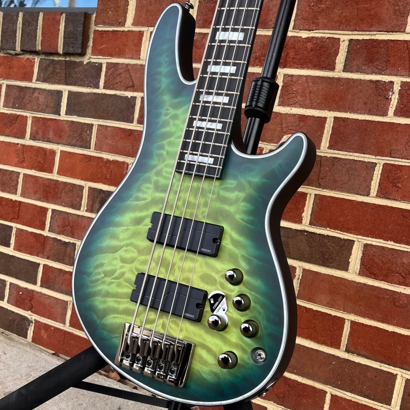 Schecter Daniel Firth Hellraiser Extreme 5-String Bass, Cthulu 