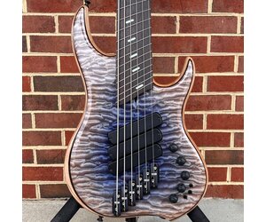 ベース DINGWALL Z3 6st Dingwall Z3 6-string with Camphor Burl top over Black Limba