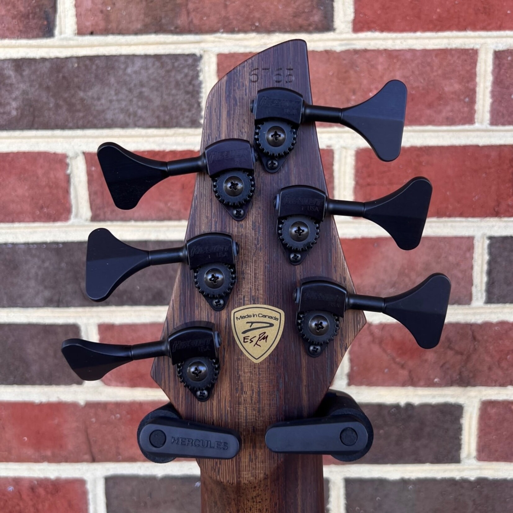 Dingwall Dingwall ABZ Custom 6-String, Trans Brown to Green Reverseburst, Buckeye Burl X-Top, Swamp Ash Body, Wenge Neck & Fretboard, Speedo Bars Inlays - Matching Wood, Darkglass Tone Capsule w/ Toggles, Dingwall Gig Bag