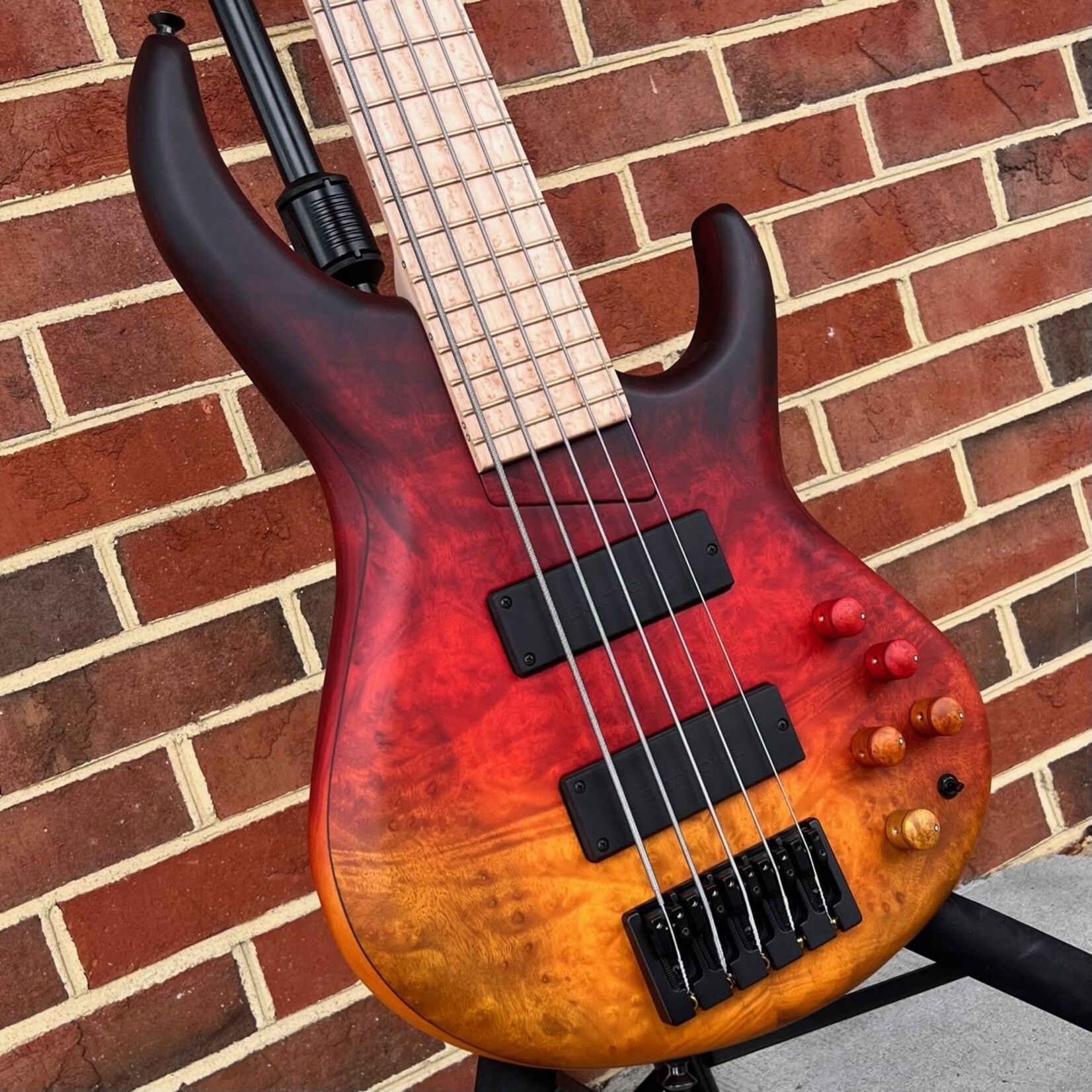 MTD MTD 535-24, Midnight Fade, Maple Burl 10-Top, Alder Body, Maple Neck, Birdseye Maple Fretboard, Matching Headstock, Stained Wood Knobs, Custom MTD Bridge, MTD Bag
