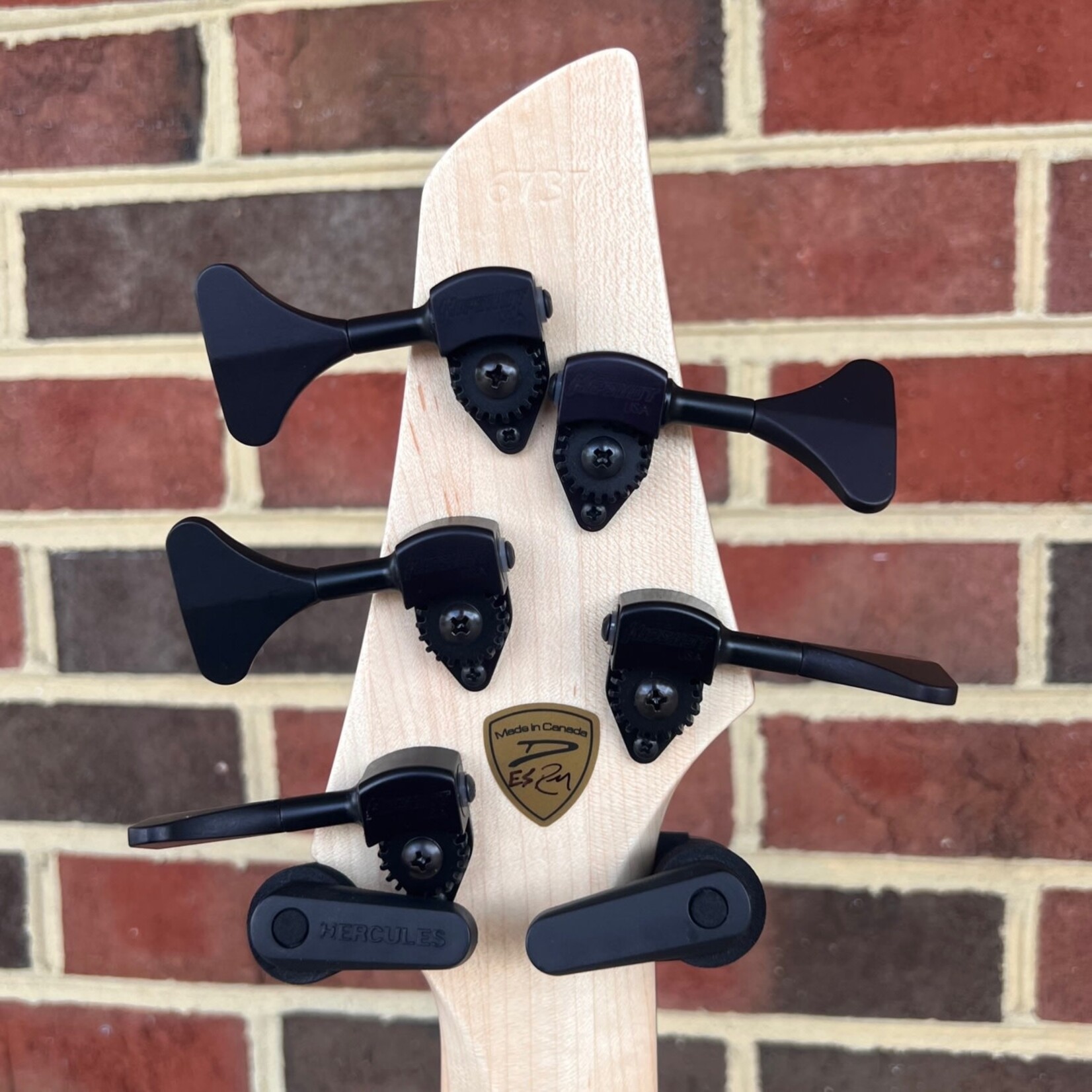 Dingwall Dingwall Z3 Custom 5-String, Bloodmoon Burst, Trans Black Back w/ White Grain Fill, Maple Neck, Macassar Ebony Fretboard, Darkglass Preamp, White Pearloid Speedo Bar Inlays & Side Dots, Matching Headstock, Black Hardware, Gig Bag, SN# 6737