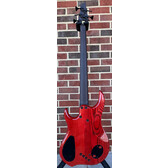 Dingwall Custom Z3 5-String, Explosion Burst, Buckeye Burl