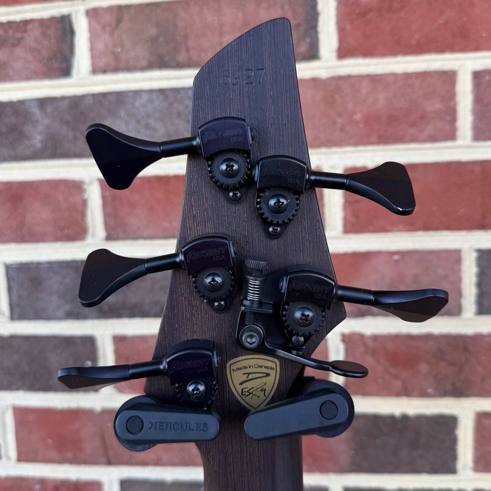 Dingwall Dingwall Custom Z3 5-String, Explosion Burst, Buckeye Burl Top, Wenge Contrast Layer, Dual-Density Swamp Ash/Northern Alder Body, Wenge Neck, Ebony Fretboard, Matching Wood Block Inlays, Neve Preamp w/ Toggles,