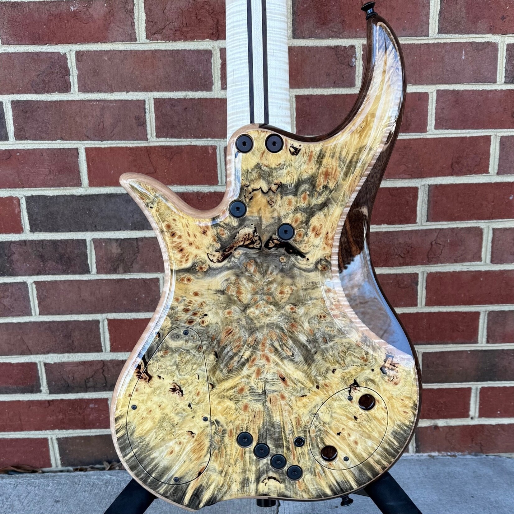 Dingwall Dingwall Prima Artist 5-String, Buckeye Burl Top & Back, Walnut/Flame Maple Body, 5pc Flame Maple/Wenge Neck, Pale Moon Ebony Fretboard, Flame Maple Contrast Layer, PA5 Pickups, Neve Preamp with Master Tone & Mini Toggles, Dingwall Custom Gig Bag
