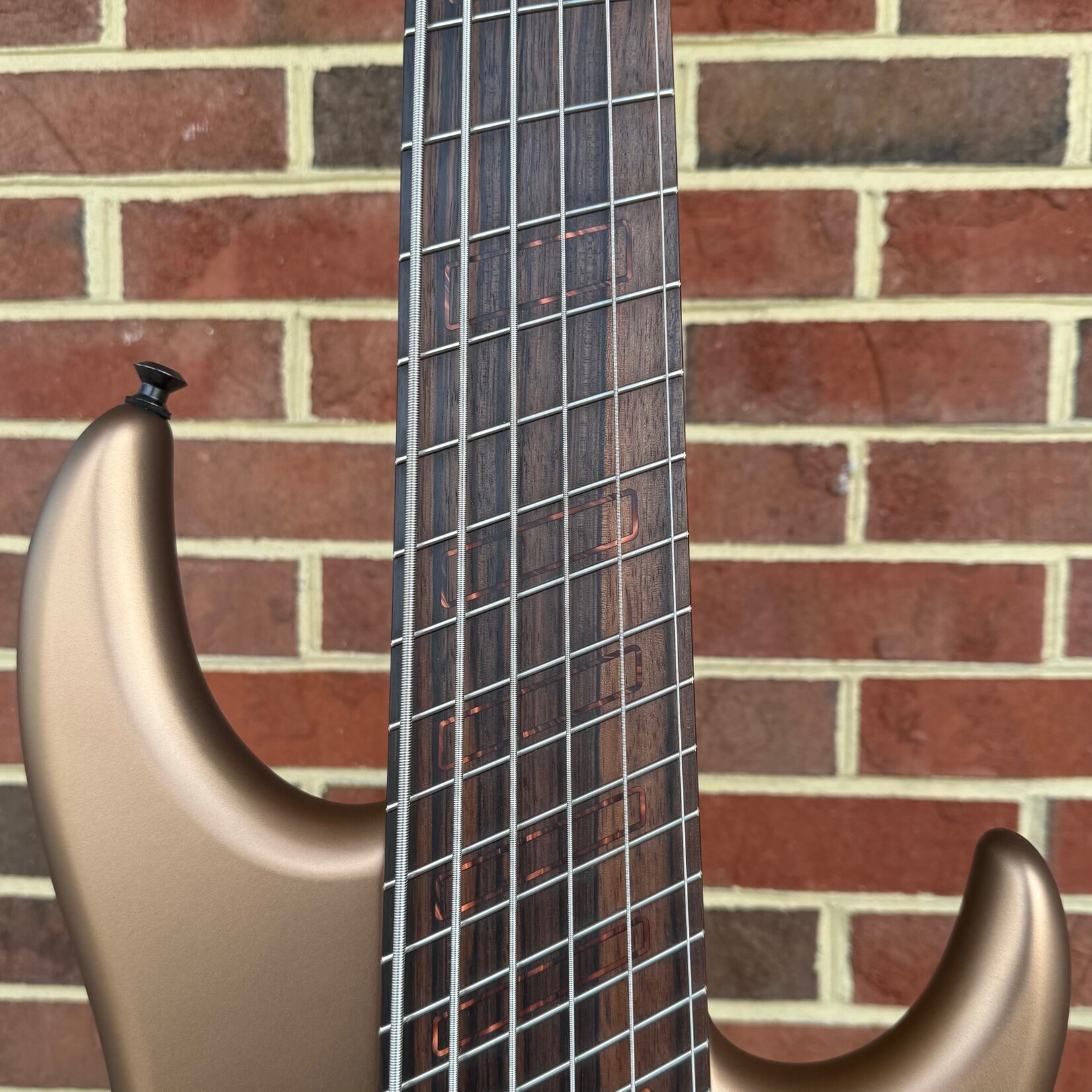 Dingwall Dingwall Z3 Custom 6-String, Coco Gold Metallic, Swamp Ash Body, Maple Neck, Macassar Ebony Fretboard, Ghost Block Inlays, Glockenklang Preamp w/ Toggles, Dingwall Gig Bag