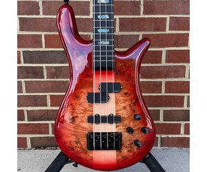 ベース Spector Euro 4LX PW Magenta Pink Gloss Spector Euro 4LX PW Magenta Pink Gloss ベース