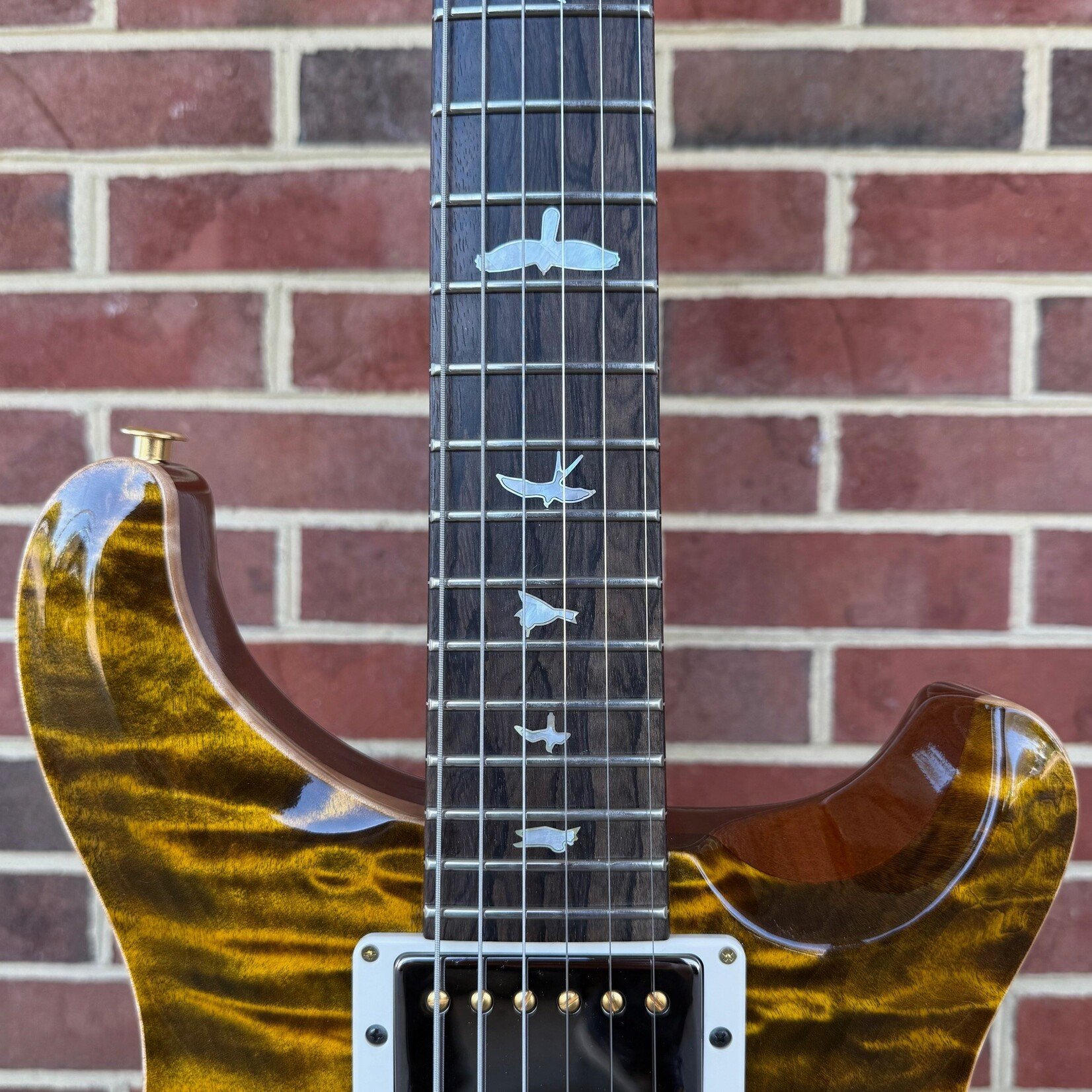 Paul Reed Smith Paul Reed Smith Private Stock DGT, Dirty Blonde Glow, Wild West Coast Curly Maple Top, Ribbon Mahogany Body, Ziricote Neck & Fretboard, Smoked Black Hybrid Hardware, Brown Paisley Case
