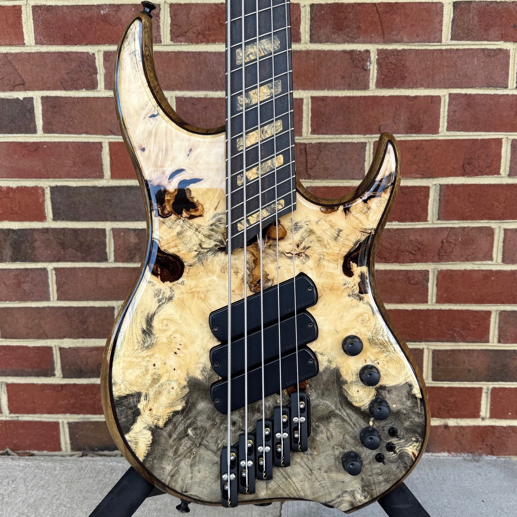 Dingwall Custom Z3 5-String, Buckeye Burl Top, Wenge Contrast