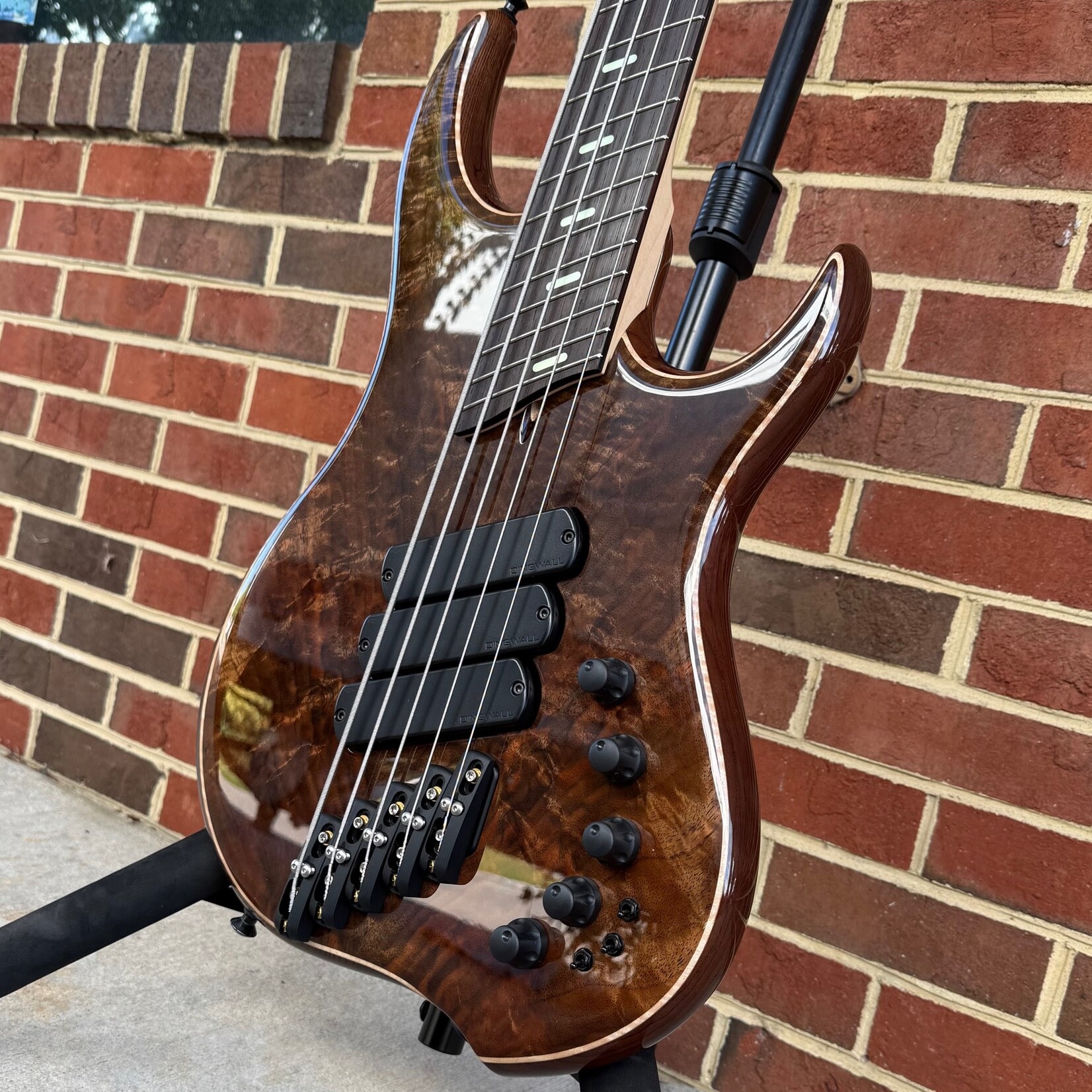 Dingwall Dingwall Z3 Custom 5-String, Walnut Burl Top, Dual Density Ash Body, Maple Neck, Wenge Fretboard, Blue Luminlay Speedo Bar Inlays, Neve Preamp w/ Toggles, Dingwall Deluxe Gig Bag