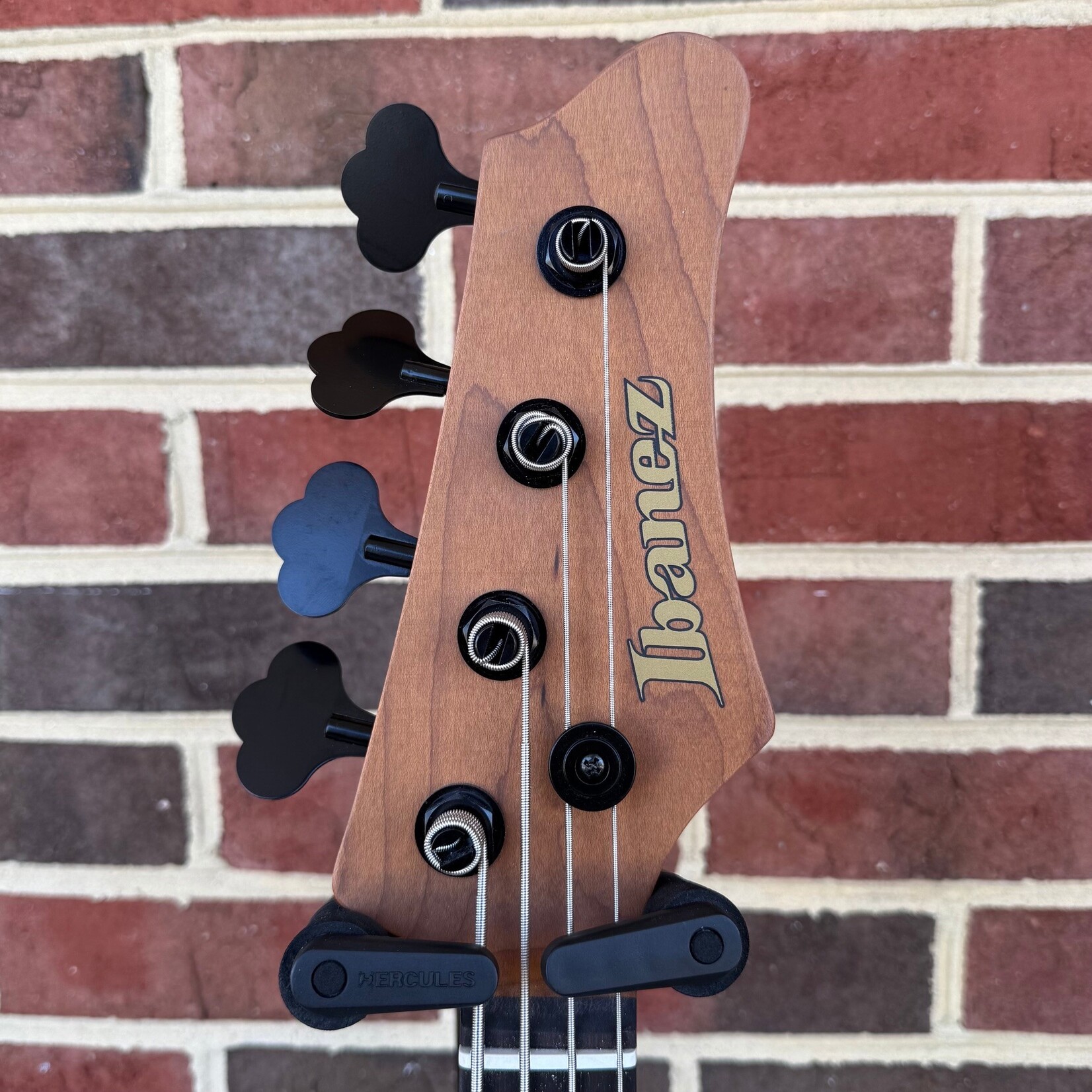 Ibanez Ibanez Mode MDM1000, 4-String Bass, Midnight Arctic Ocean Matte, Roasted Maple Neck, Alder Body, Gig Bag
