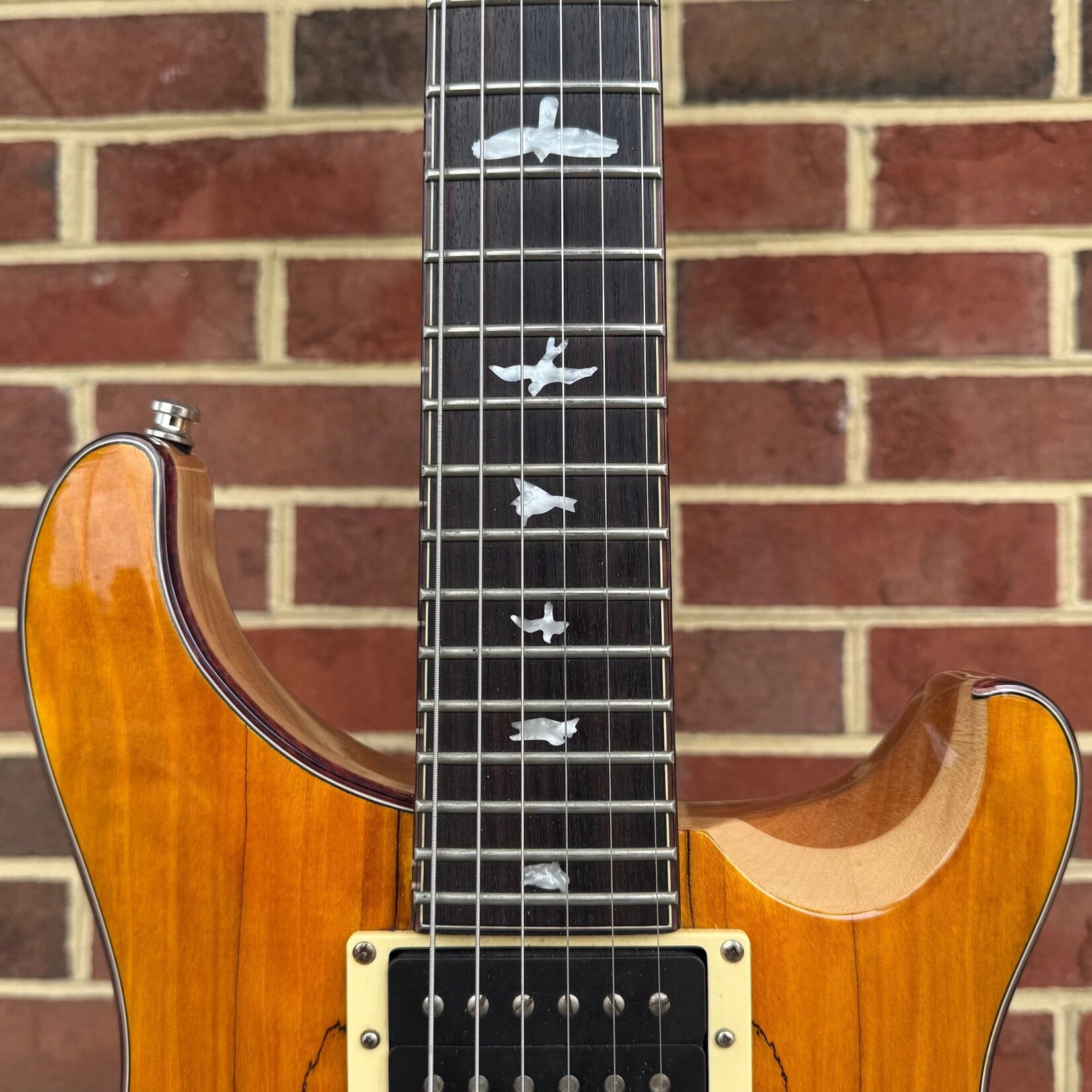 Paul Reed Smith Paul Reed Smith SE Sweetwater Exclusive, Spalted Maple Top, Tortoise Shell Binding w/ Purfling, USA Pickups, Gig Bag (USED/CONSIGNMENT)
