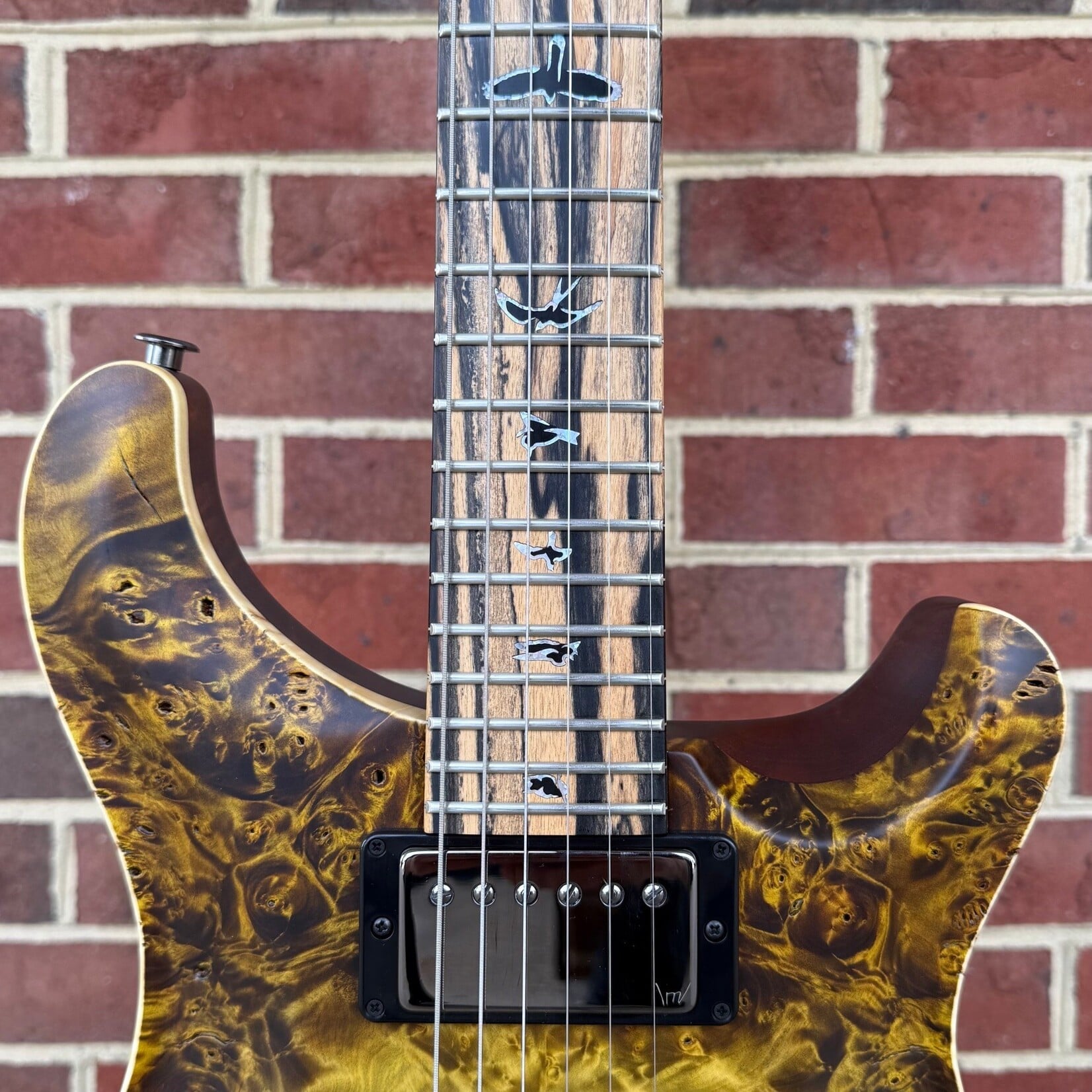 Paul Reed Smith Paul Reed Smith Private Stock Custom 24 Hardtail, Buckeye Burl Top, South American Figured Mahogany Body, Pale Moon Ebony Neck, Pale Moon Ebony Fretboard