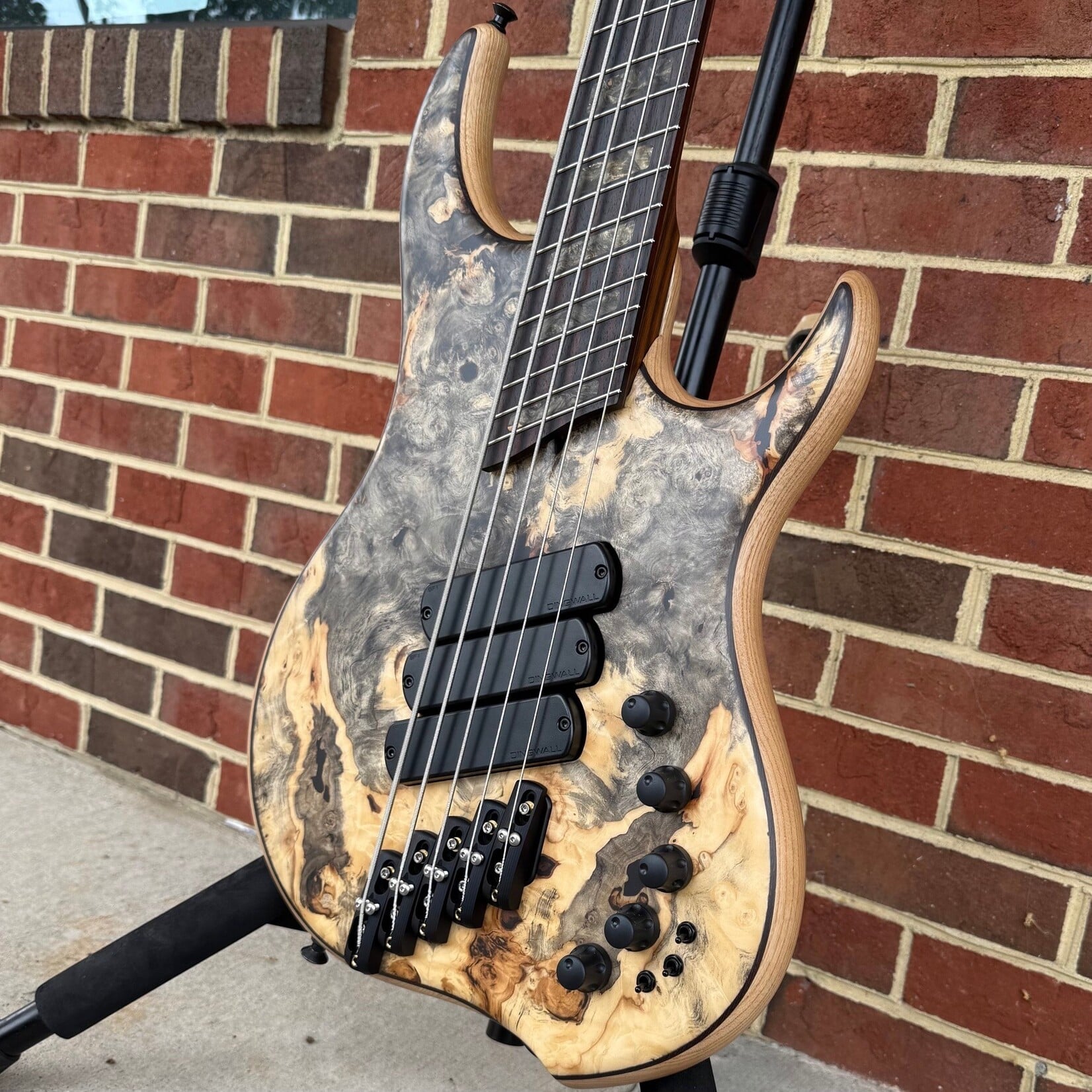 Dingwall Dingwall Z3 Custom 5-String, Buckeye Burl Top, Wenge Contrast Layer, Dual Density Swamp Ash Body, D-Roc Rotary, Roasted Ash Neck, Macassar Ebony Fretboard, Buckeye Burl Block Inlays, Luminlay Side Dots, Dingwall Deluxe Gig Bag