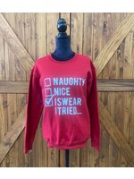 Naughty/ Nice I tried Sweatshirt