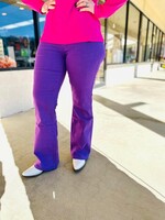 sterling kreek Walkin West Purple Denim Jeans
